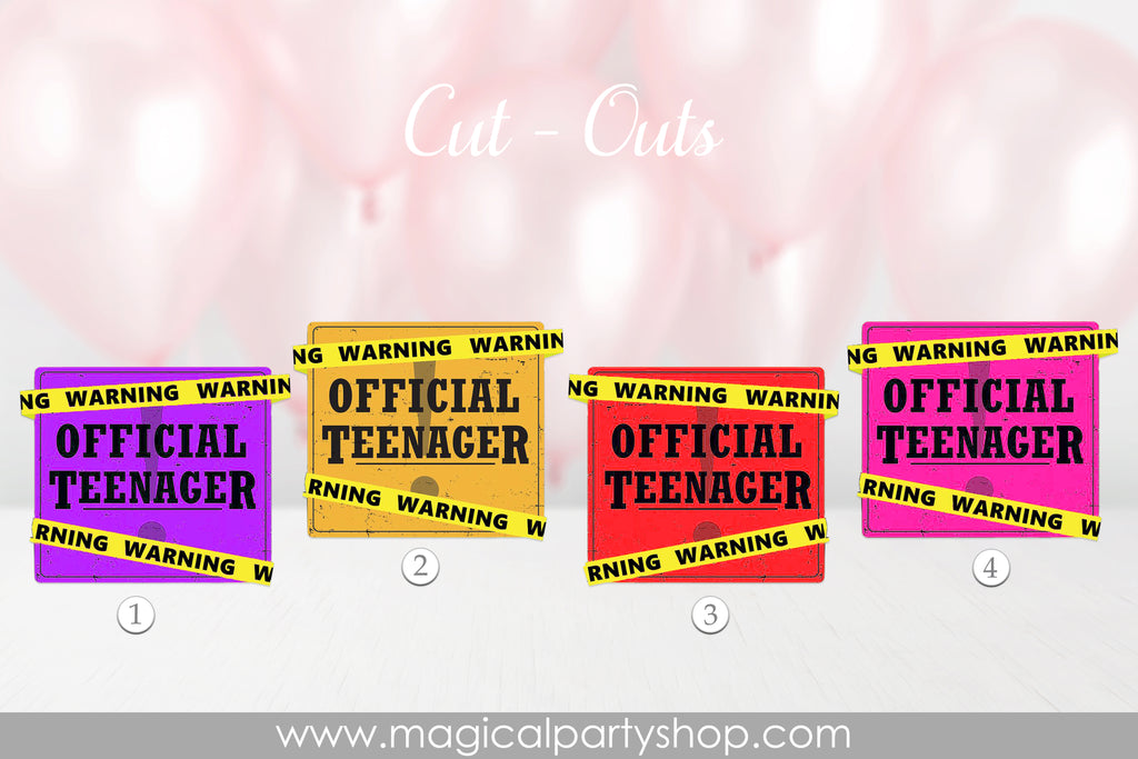 Official Teenager Party Favors | 13th Birthday Cake Topper | 13 Cake Topper | Thirteenth Birthday Party Table Decorations