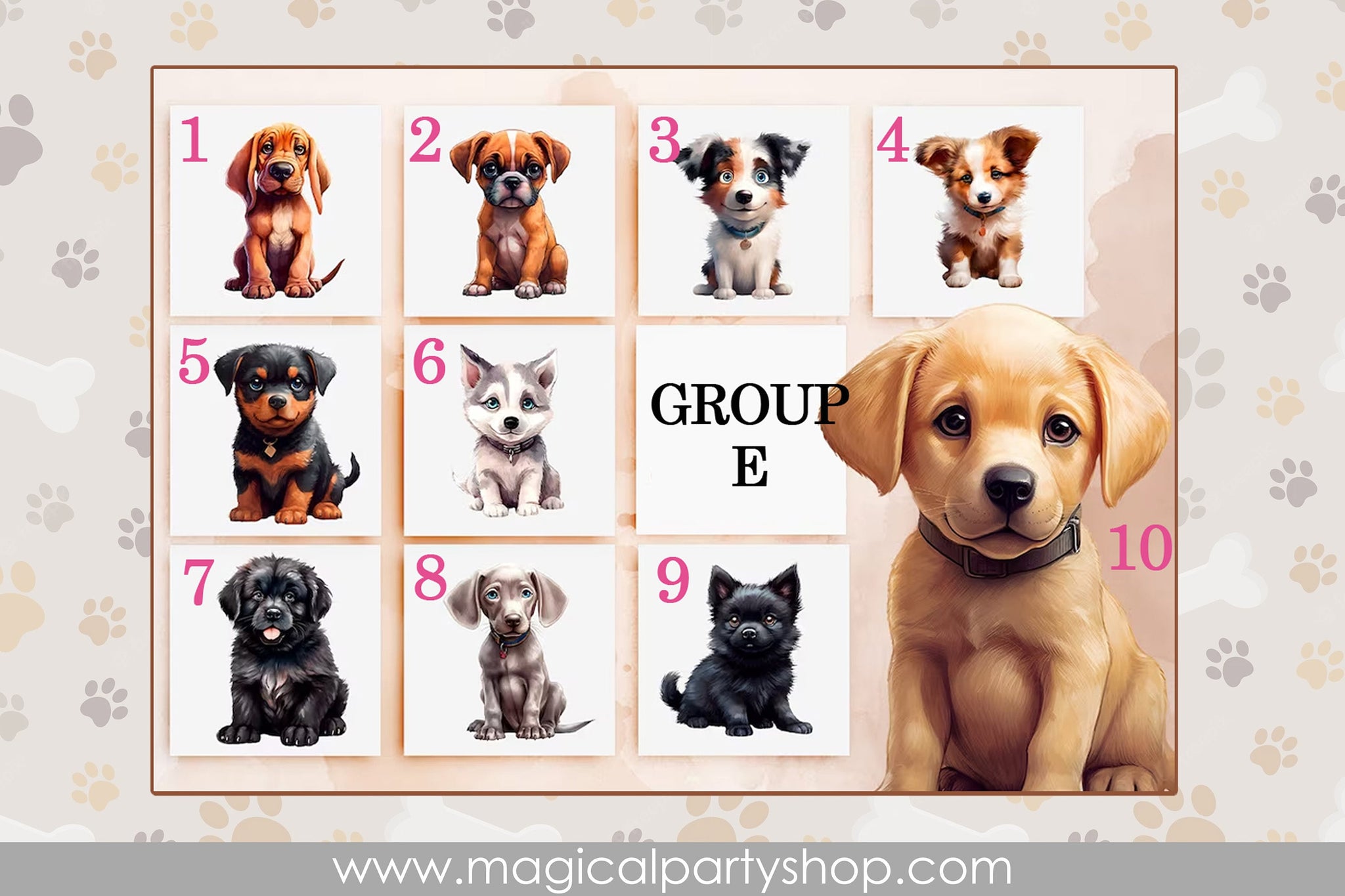 Dog Gnome | Personalized Dog Gnomes | Choose Your Own Dog | Dog Paws Gnome | Animal Gnome | Dog Lover Decor | Tiered Tray Gnome